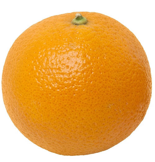 Picture shows a large orange on a plain white background.